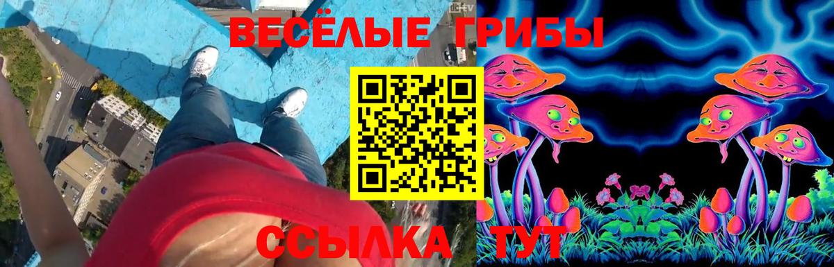 Карабулак  цена наркотик  Вход с VPN  Галлюциногенные грибы Psilocybe 